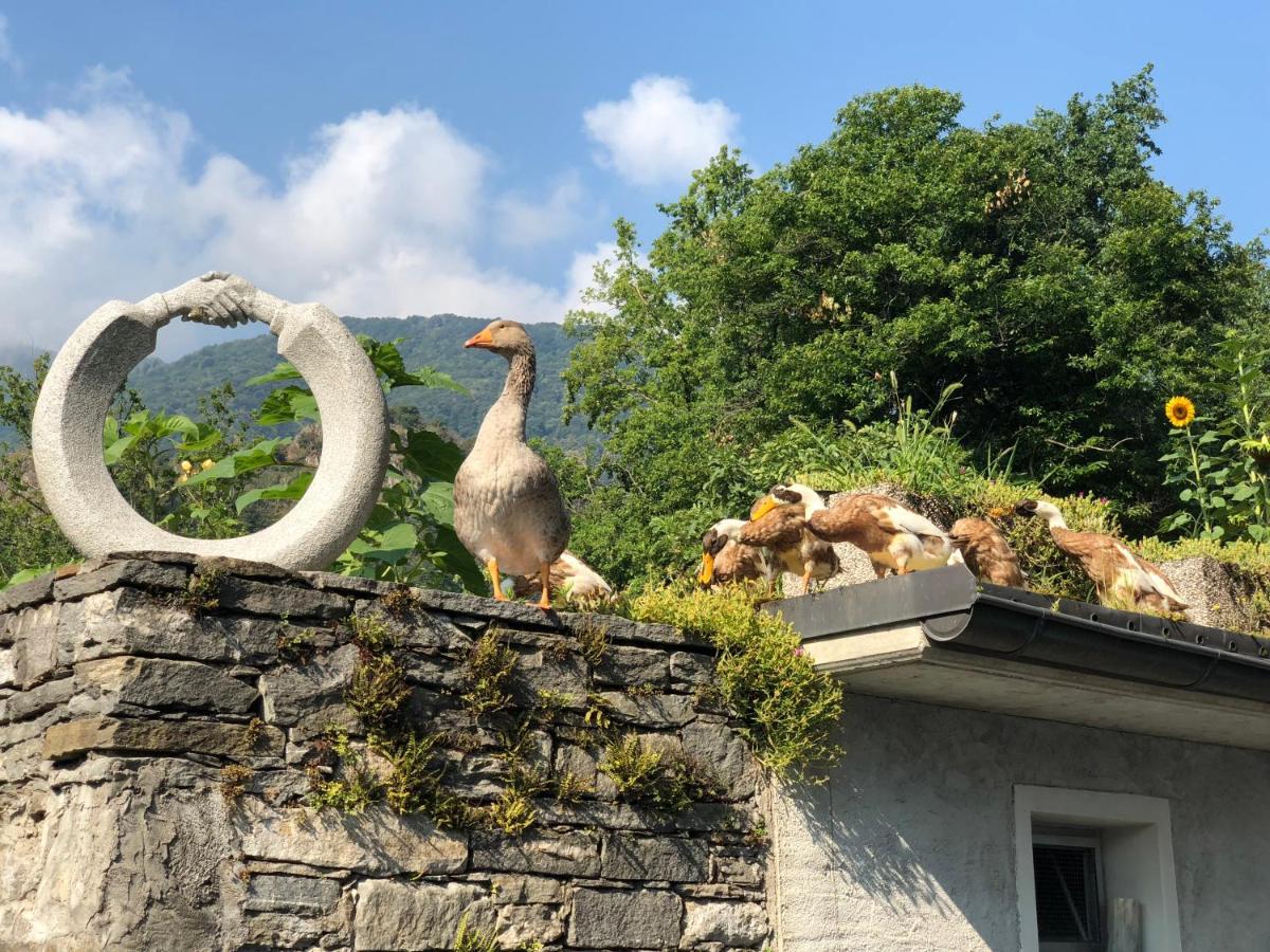 Hotel Ostello & Camping Riposo Losone Exterior foto